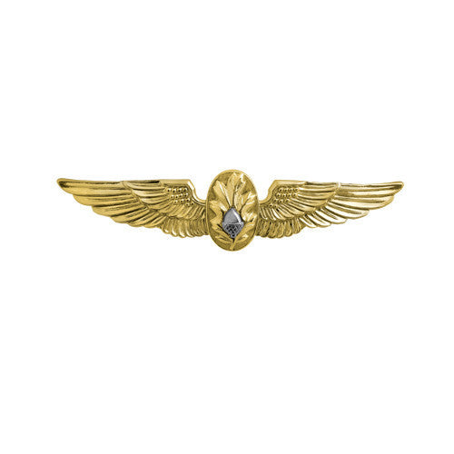Navy Badge: Flight Surgeon - miniature