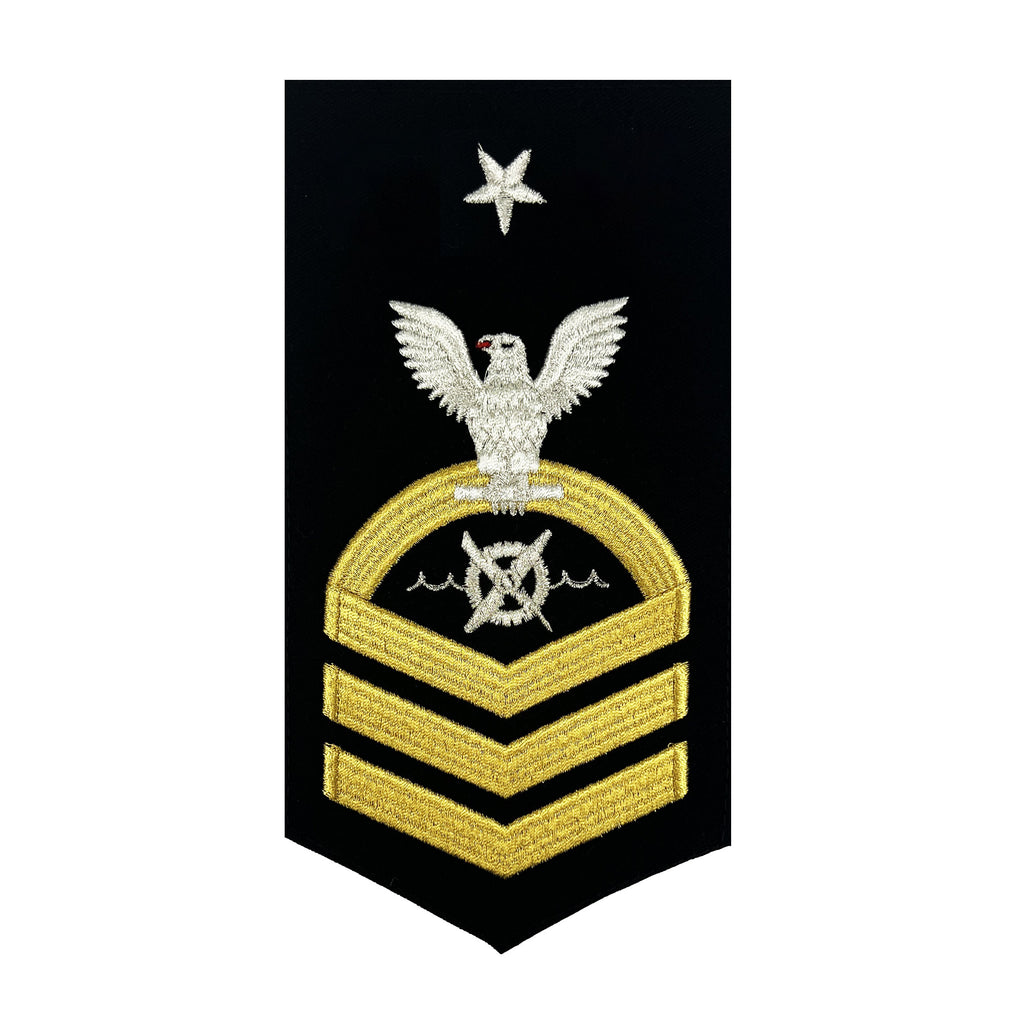 USN E-8 Seaworthy Gold on Blue Robotics Warfare Specialist Rating Badge ...