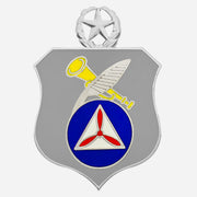 Civil Air Patrol Badge: Historian: Master