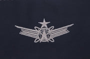 Civil Air Patrol Cloth Insignia: Air Force senior SPACE (New Insignia)