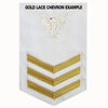 Navy E6 FEMALE Rating Badge: Information Systems Technician - white