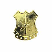 Navy Badge: Nuclear Weapons Security Officer badge - Regulation size- 24K Gold