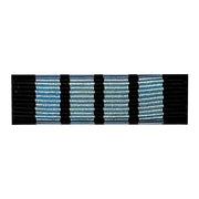 Ribbon Unit #3618