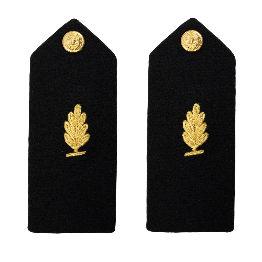 Navy Midshipman Hard Shoulder Board: Medical Service Officer